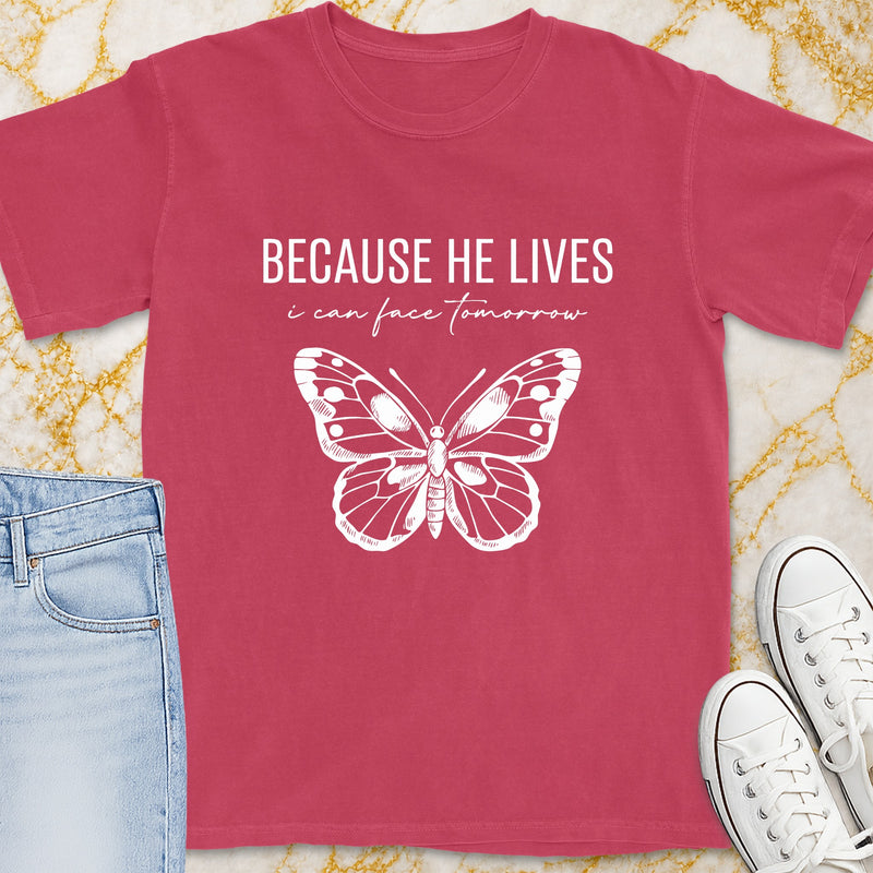 Maroon t-shirt with "BECAUSE HE LIVES i can face tomorrow" and butterfly graphic.
