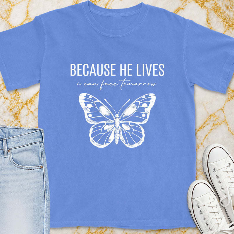 Blue t-shirt with "BECAUSE HE LIVES i can face tomorrow" and butterfly graphic.