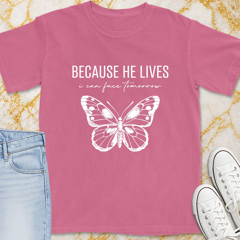 Pink t-shirt with white text "BECAUSE HE LIVES i can face tomorrow" and butterfly graphic.